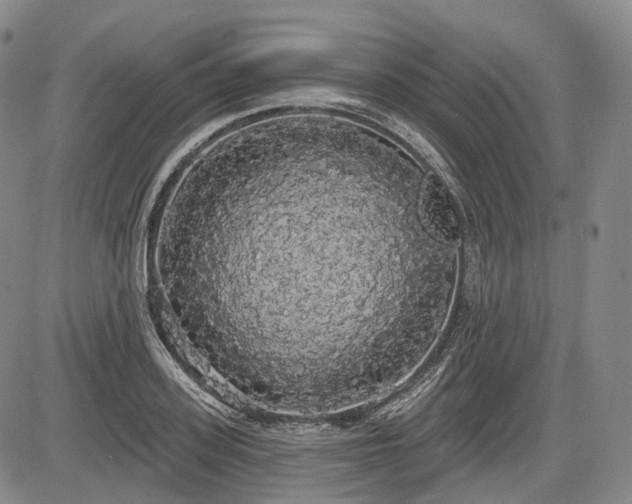 X0000084580939200703021526