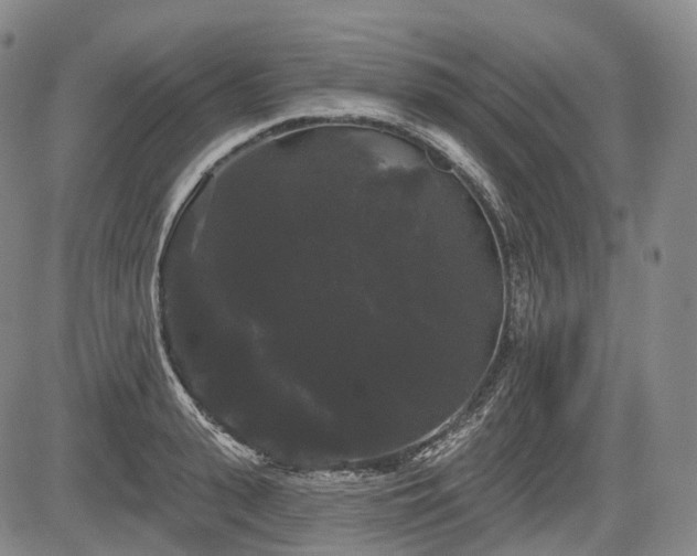 X0000084580943200703021526