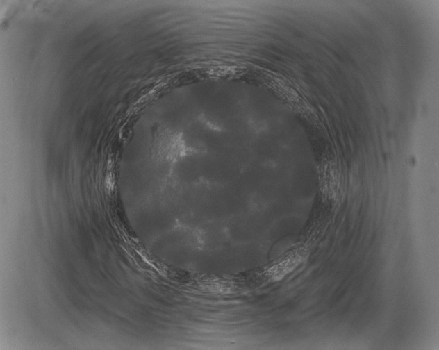 X0000084580962200703021525