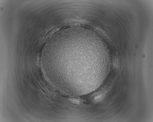 X0000084580964200703021525