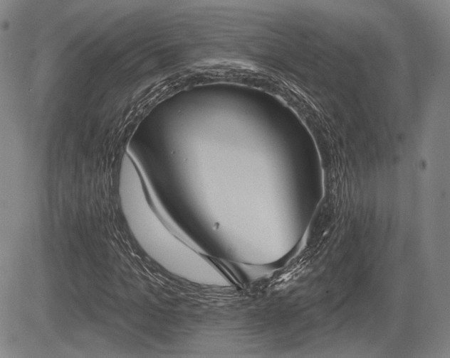 X0000084580965200703021525