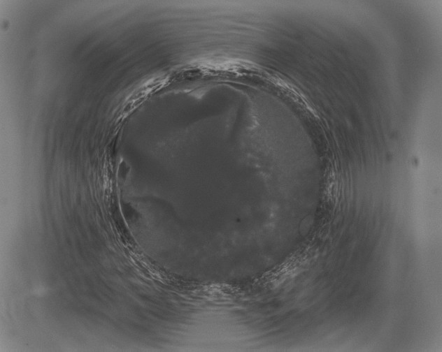 X0000084580966200703021525