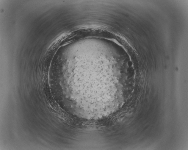 X0000084580967200703021525
