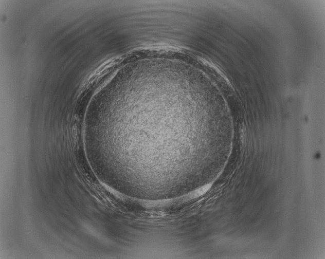X0000084580968200703021525