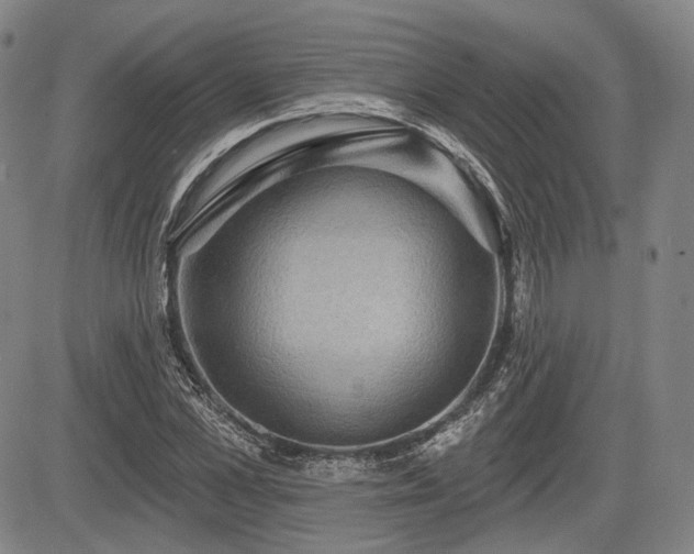 X0000084580973200703021525