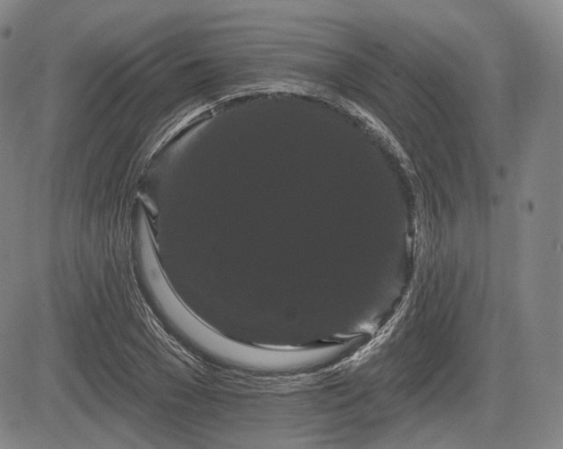 X0000084580977200703021525