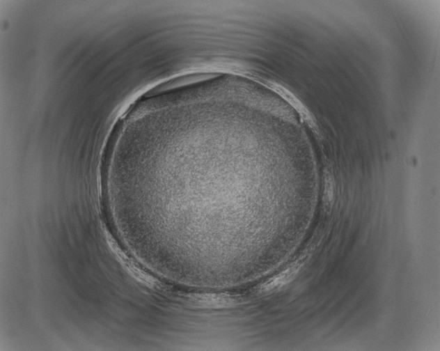 X0000084580980200703021525