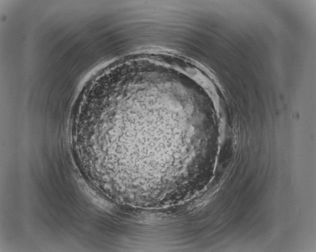X0000084580987200703021525
