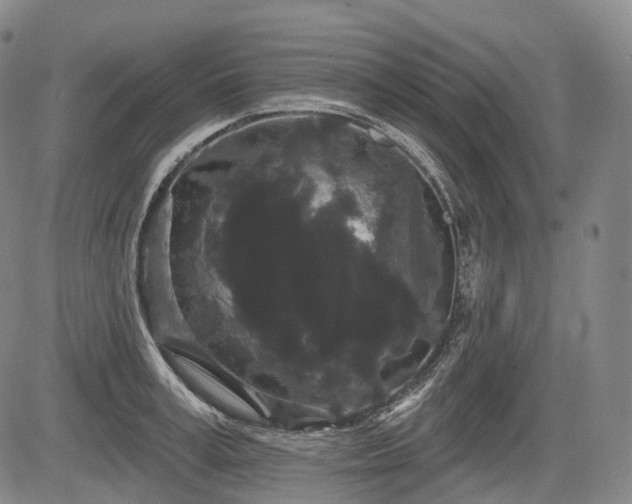 X0000084580995200703021525
