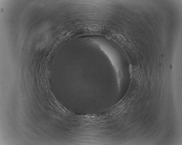 X0000084581009200703021524
