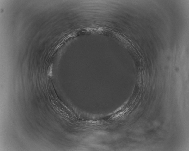 X0000084581010200703021524