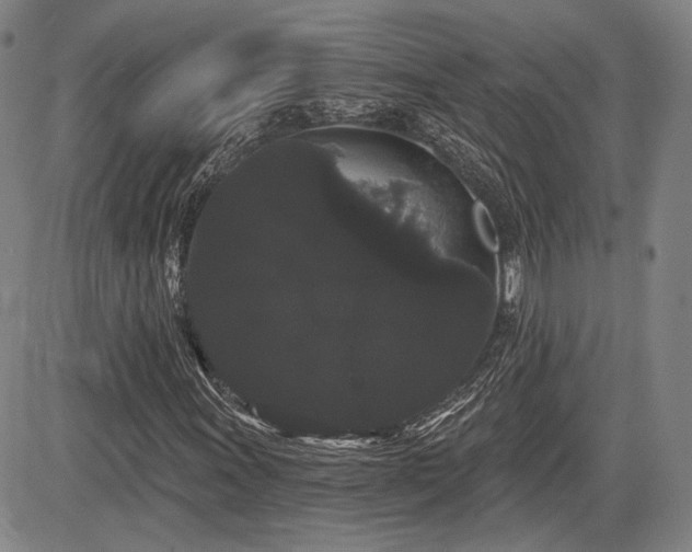 X0000084581011200703021524