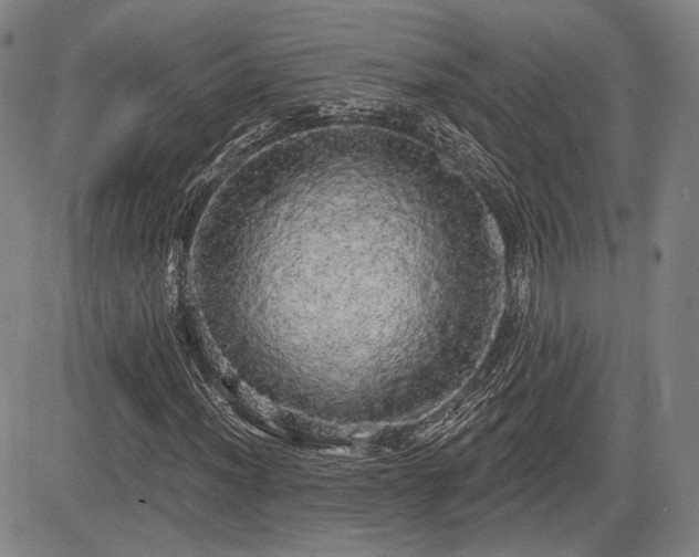 X0000084581012200703021524