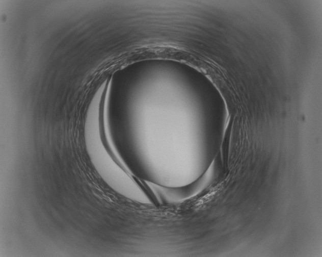 X0000084581014200703021524