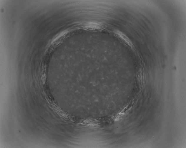 X0000084581015200703021524