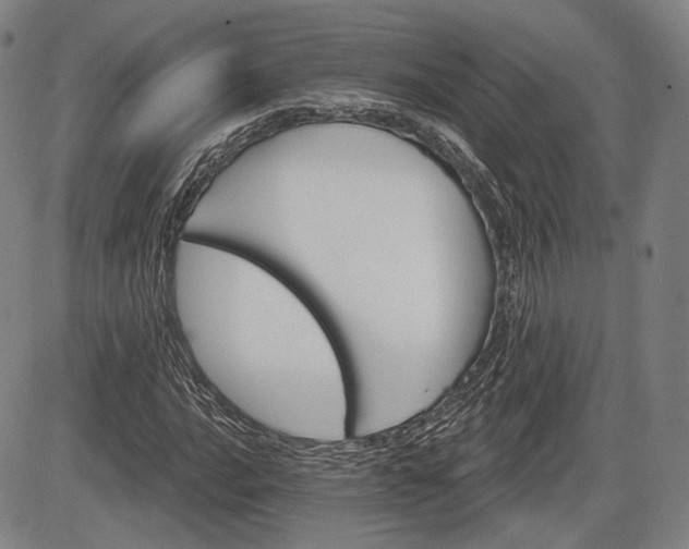 X0000084581016200703021524