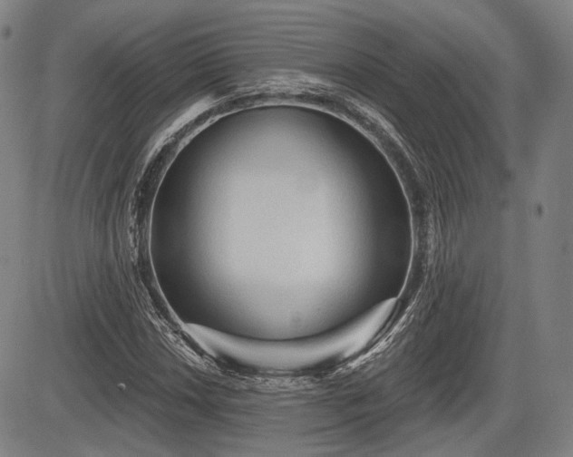 X0000084581018200703021524