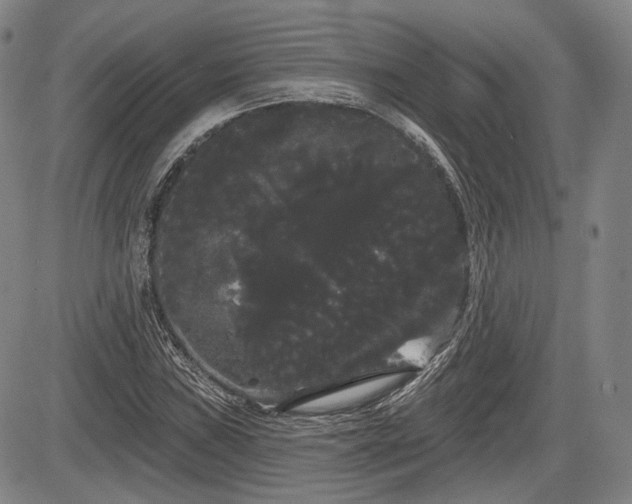 X0000084581019200703021524
