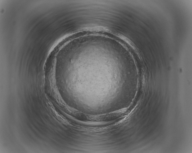 X0000084581022200703021524