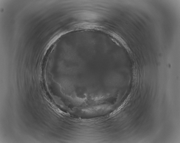 X0000084581023200703021524