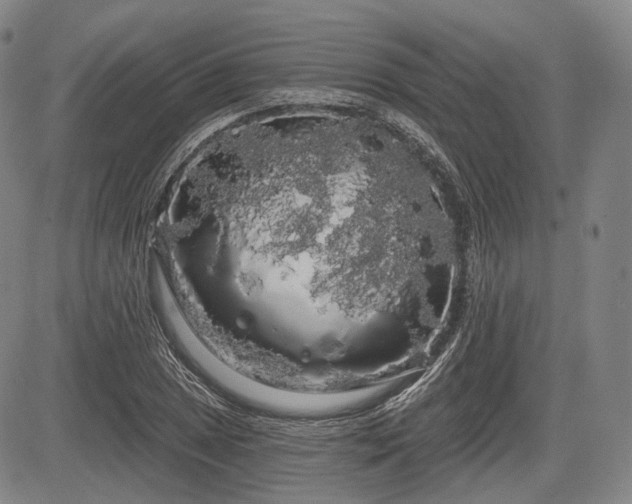 X0000084581025200703021524