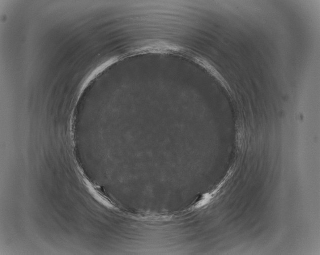 X0000084581026200703021524