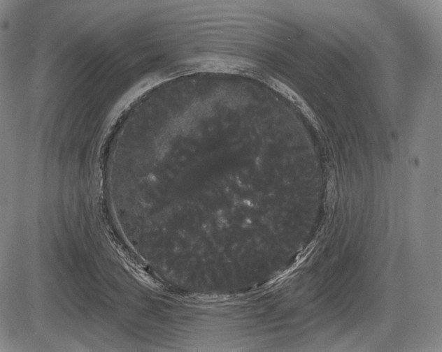 X0000084581027200703021524