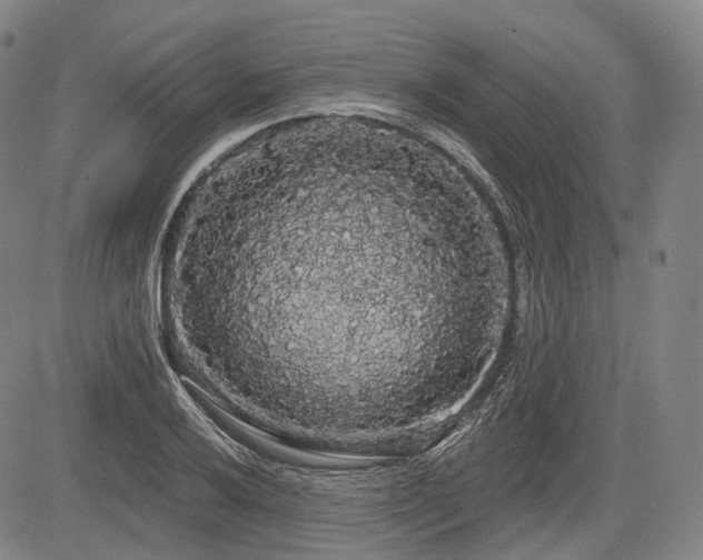 X0000084581032200703021524