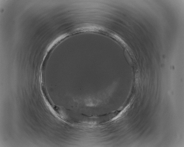 X0000084581034200703021524