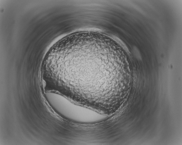 X0000084581044200703021524