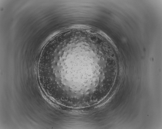 X0000084581049200703021524