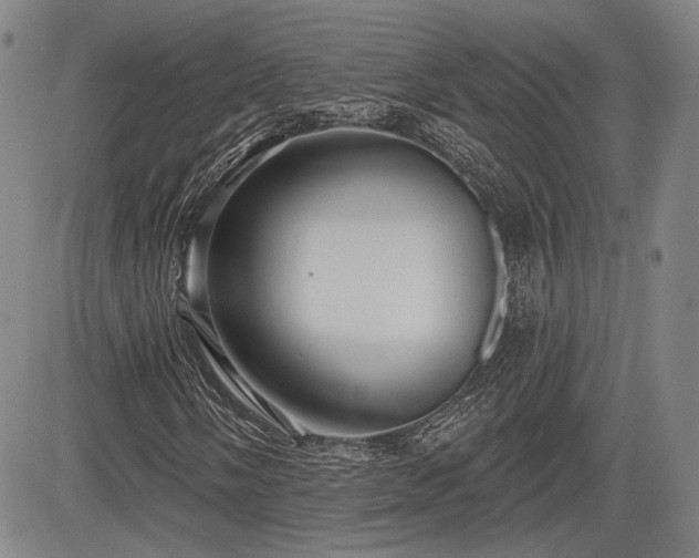 X0000084581058200703021524