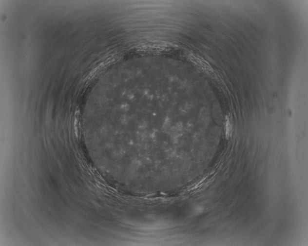 X0000084581059200703021524