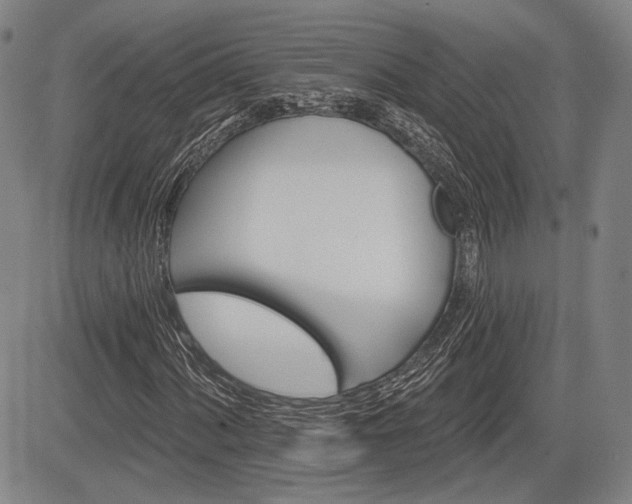 X0000084581060200703021523