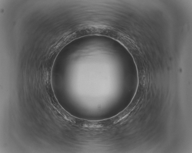 X0000084581061200703021523