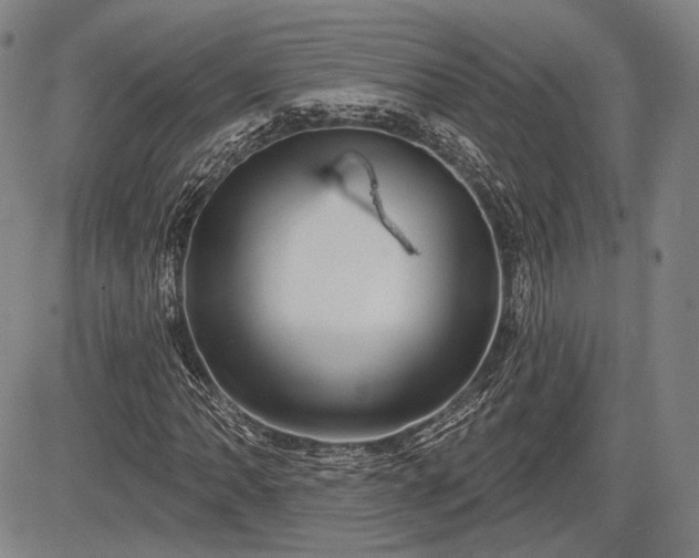 X0000084581062200703021523