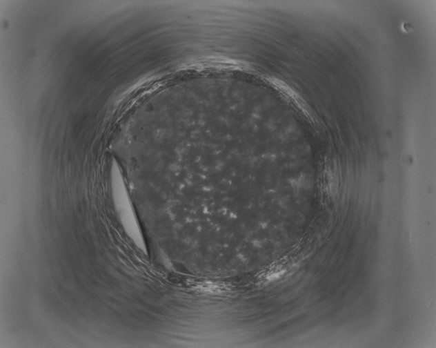 X0000084581063200703021523