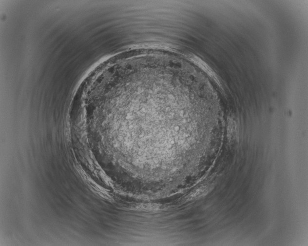 X0000084581068200703021523