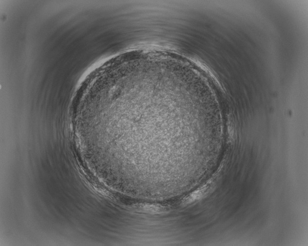 X0000084581070200703021523