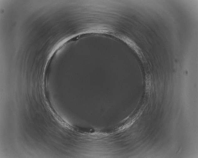X0000084581077200703021523
