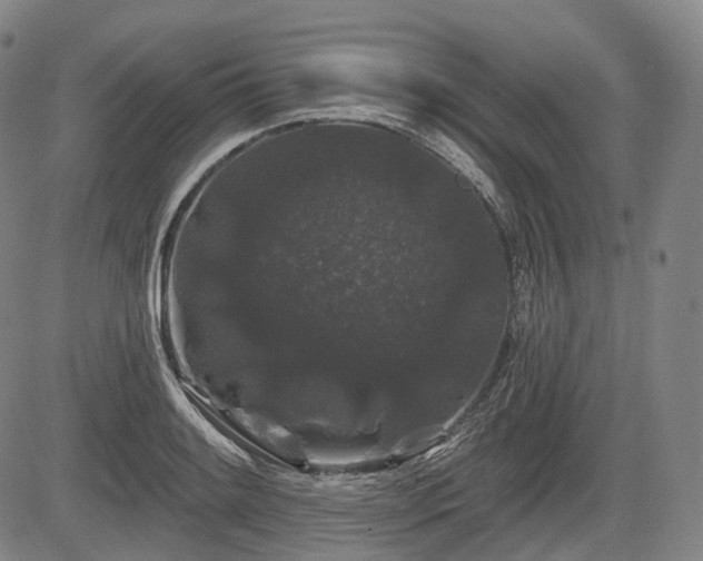 X0000084581084200703021523