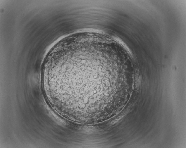 X0000084581092200703021523
