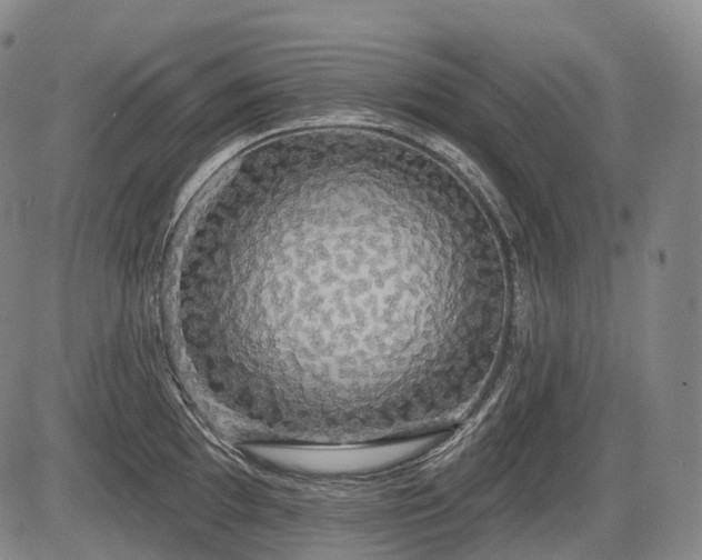 X0000084581097200703021523