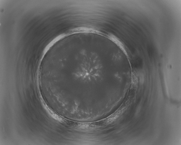 X0000084581098200703021523