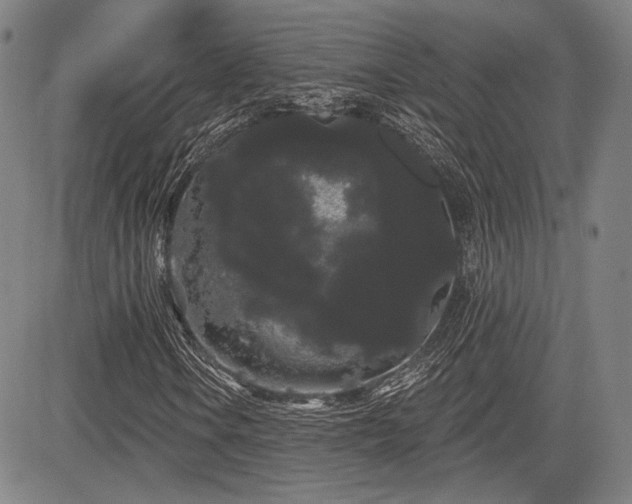 X0000084581106200703021522