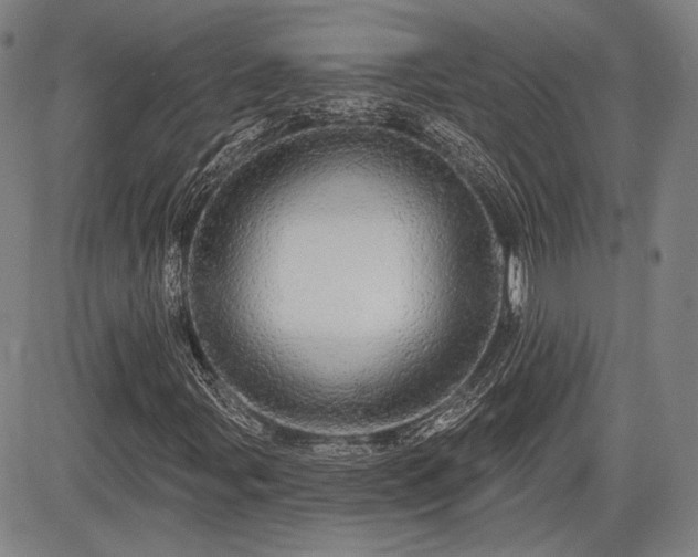 X0000084581107200703021522