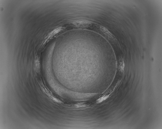X0000084581108200703021522