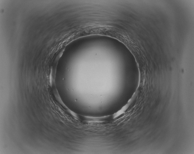 X0000084581109200703021522