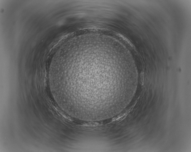 X0000084581111200703021522