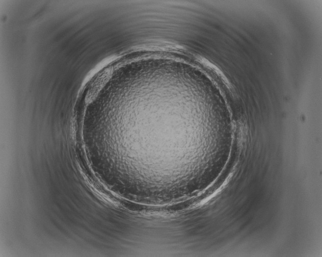 X0000084581114200703021522